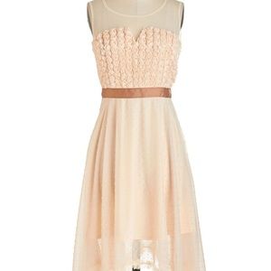 NWT Ryu Blush Pink Rose Dress